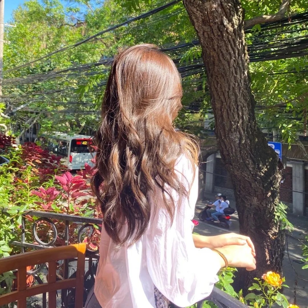 鉴你所见:花露森林